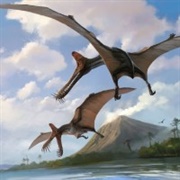 Ornithocheirus