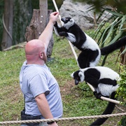 Watch Zoo Animals Get Fed