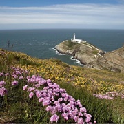 South Stack