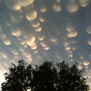 Regina Mammatus, Saskatchewan
