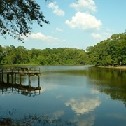 Lefleur's Bluff State Park, Mississippi