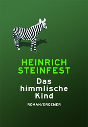 Das Himmlische Kind (Heinrich Steinfest)