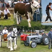 Agricultural Show