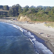 Caspar Headlands State Beach, California