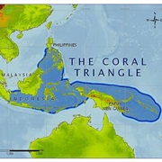 Coral Triangle Day (Ocean Conservation - June 9)