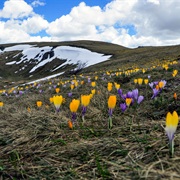 Sharr Mountains, Kosovo