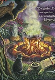 Looking for Mr Good Witch