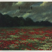 Collection D'Arnell~Andréa - Cirses Des Champs