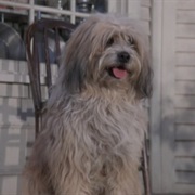 Jack From Little House on the Prairie)