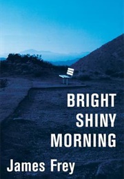 Bright Shiny Morning (James Frey)