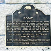 Bodie