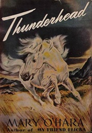 Thunderhead (Mary O&#39;Hara)