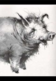 The Hog (Alvin Schwartz)