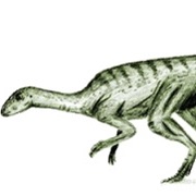 Changchunsaurus
