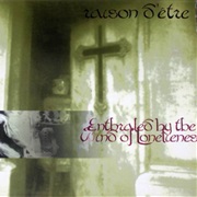 Raison D'être - Enthraled by the Wind of Lonelienes