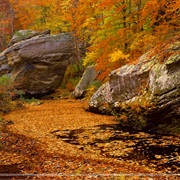 Shawnee National Forest, Illinois