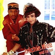 Michie Mee & L.A. Luv - Jamaican Funk—Canadian Style