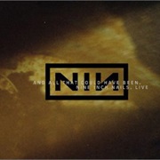 Nine Inch Nails- And All That Could Have Been