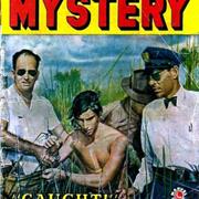 True Complete Mystery