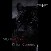 Kirlian Camera- Nightglory