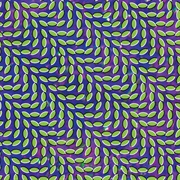Animal Collective - My Girls