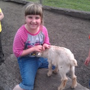 Border City Petting Zoo