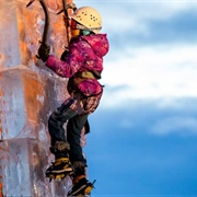 Saskatoon Winter Shines