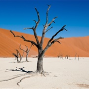 Namib Desert - Namibia