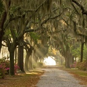 Bonaventure Cemetary, Savannah Georgia