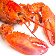Lobster