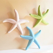 Starfish
