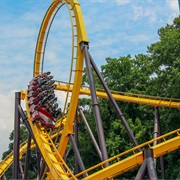 Georgia Scorcher (Six Flags Over Georgia, USA)