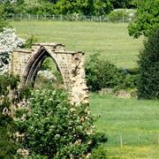 As I Walked Through the Meadows