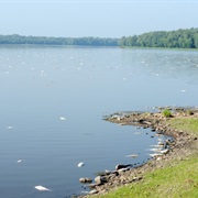 Donnelley/Depue State Park, Illinois