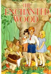 Faraway Tree: The Enchanted Wood (Enid Blyton)