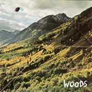 Woods - Rain On