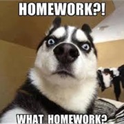 Didn't Turn in Homework on Time