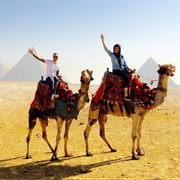 Do a Camel Ride to the Pyramids of Giza