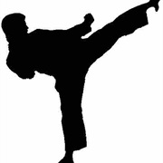 Take Karate Classes
