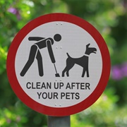 People Who Don't Pick Up After Their Dogs
