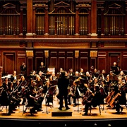 Played in an Orchestra