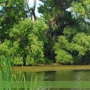 Badger Creek State Recreation Area, Iowa