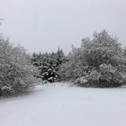 Seven Shades of Snow