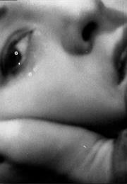 A Day in the Country