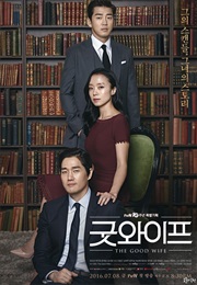 The Good Wife (2016)