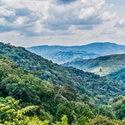 Bwindi National Park, Uganda