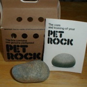 Pet Rock-1975