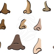 Nose