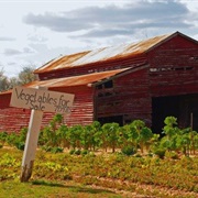 Shuqualak, Mississippi