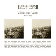 Collection D&#39;Arnell~Andréa- Villers-Aux-Vents (Février 1916)